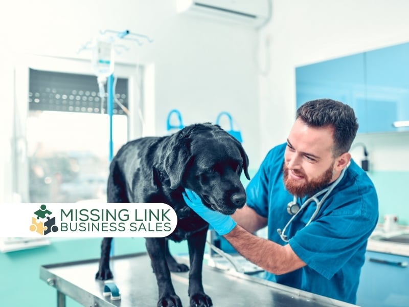 Coastal Vet Practice With Flexible Ownership Path